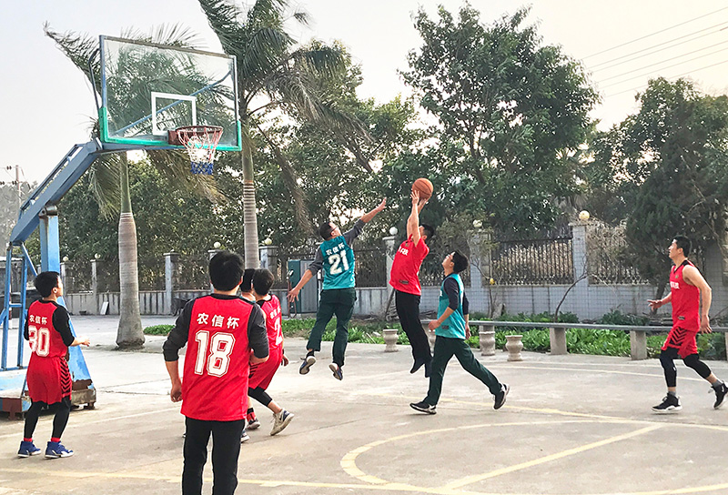 篮球赛01.jpg